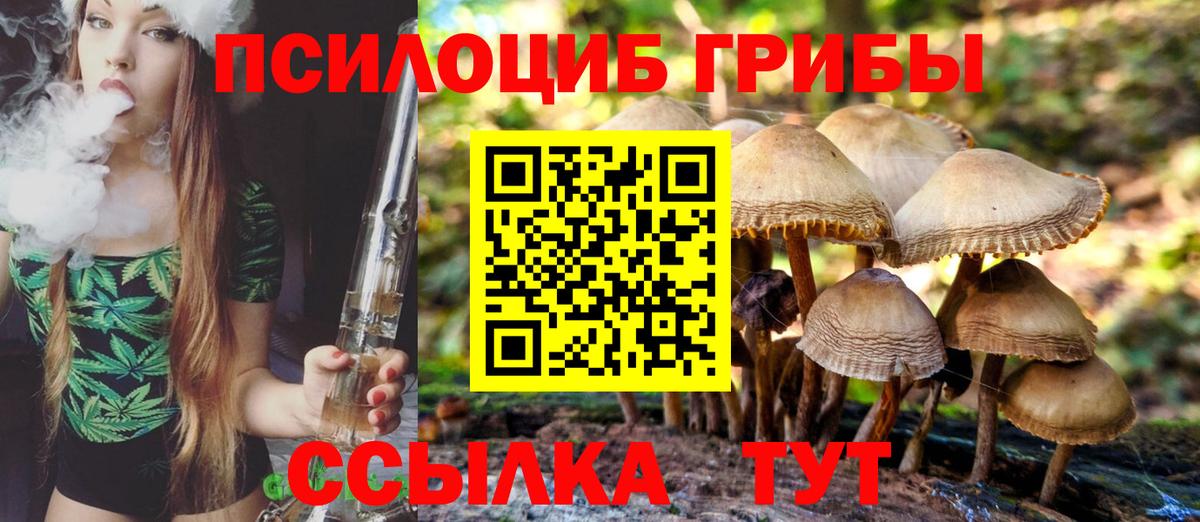 Скопин  Псилоцибиновые грибы ЛСД  Галлюциногенные грибы GOLDEN TEACHER  Вход с VPN 